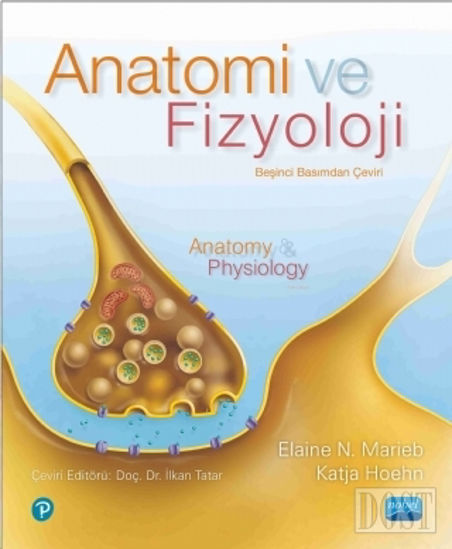 Anatomi ve Fizyoloji